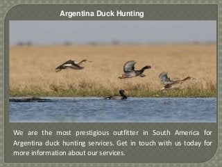 Argentina Duck Hunting
We are the most prestigious outfitter in South America for
Argentina duck hunting services. Get in touch with us today for
more information about our services.
 
