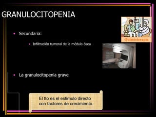 GRANULOCITOPENIA Secundaria: Infiltración tumoral de la médula ósea La granulocitopenia grave El tto  es el estimulo directo con factores de crecimiento. 