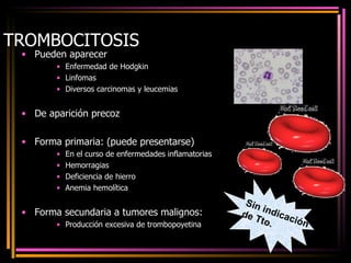TROMBOCITOSIS Pueden aparecer Enfermedad de Hodgkin Linfomas Diversos carcinomas y leucemias De aparición precoz Forma primaria: (puede presentarse) En el curso de enfermedades inflamatorias Hemorragias Deficiencia de hierro Anemia hemolítica Forma secundaria a tumores malignos: Producción excesiva de trombopoyetina Sin indicación de Tto. 