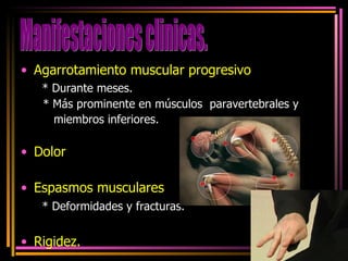 Agarrotamiento muscular progresivo  * Durante meses. * Más prominente en músculos  paravertebrales y  miembros inferiores. Dolor Espasmos musculares  * Deformidades y fracturas.   Rigidez. Manifestaciones clinicas. 