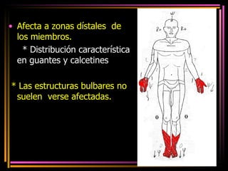 Afecta a zonas dístales  de los miembros. * Distribución característica  en guantes y calcetines * Las estructuras bulbares no suelen  verse afectadas. 