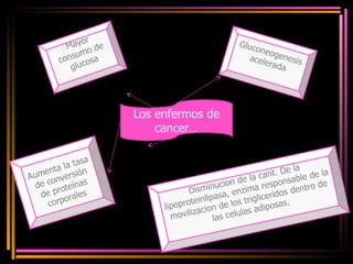 Los enfermos de cancer… Mayor consumo de glucosa Disminucion de la cant. De la lipoproteinlipasa, enzima responsable de la movilizacion de los trigliceridos dentro de las celulas adiposas. Aumenta la tasa de conversión de proteínas corporales Gluconeogenesis acelerada 