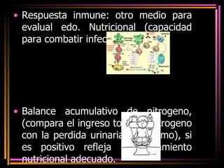 Respuesta inmune: otro medio para evalual edo. Nutricional (capacidad para combatir infecciones).  Balance acumulativo de nitrogeno, (compara el ingreso total de nitrogeno con la perdida urinaria del mismo), si es positivo refleja un tratamiento nutricional adecuado. 