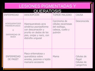LESIONES PIGMENTADAS Y QUERATOSIS ENFERMEDAD DESCRIPCIÓN  TUMOR MALIGNO CAUSA ACROQUERATOSIS PARANEOPLASICA  O ENFERMEDAD DE BAZEX Hiperqueratosis acra simétrica psoriasiforme con descamación y prurito en dedos de los pies, orejas y nariz, con distrofia ungueal  Carcinoma de células escamosas del esófago, cabeza, cuello y pulmón Desconocida ENFERMEDAD DE PAGET Placa eritematosa y queratósica sobre areolas, pezones o tejido mamario accesorio Mama  Células de Paget Células de Langerhns 