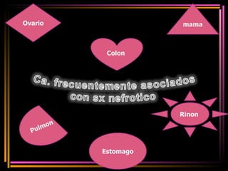 Estomago mama Colon  Rinon  Ovario Pulmon 