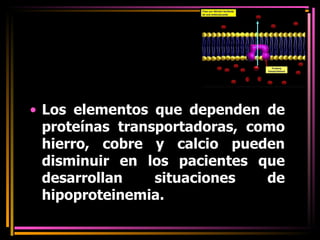 Los elementos que dependen de proteínas transportadoras, como hierro, cobre y calcio pueden disminuir en los pacientes que desarrollan situaciones de hipoproteinemia. 
