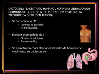 LACTÓGENO PLACENTARIO HUMANO . HORMONA LIBERADORADE HORMONA DEL CRECIMIENTO , PROLACTINA Y SUSTANCIA TIROTRÓPICA DE ORIGEN TUMORAL Se ha detectado hPL Pacientes no gonadales No trofoblasticos. Puede ir acompañado de : Elevadas de estrógeno Aumento de Hcg Se encontraron concentraciones elevadas de hormona del crecimiento en pacientes con: 