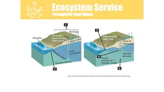 Source: https://thecaliforniawatercrisis.files.wordpress.com/2015/04/california-saltwater-intrusion-2.jpg
Ecosystem Servic...