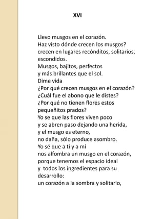 XVI

Llevo musgos en el corazón.
Haz visto dónde crecen los musgos?
crecen en lugares recónditos, solitarios,
escondidos.
Musgos, bajitos, perfectos
y más brillantes que el sol.
Dime vida
¿Por qué crecen musgos en el corazón?
¿Cuál fue el abono que le distes?
¿Por qué no tienen flores estos
pequeñitos prados?
Yo se que las flores viven poco
y se abren paso dejando una herida,
y el musgo es eterno,
no daña, sólo produce asombro.
Yo sé que a ti y a mí
nos alfombra un musgo en el corazón,
porque tenemos el espacio ideal
y todos los ingredientes para su
desarrollo:
un corazón a la sombra y solitario,

 