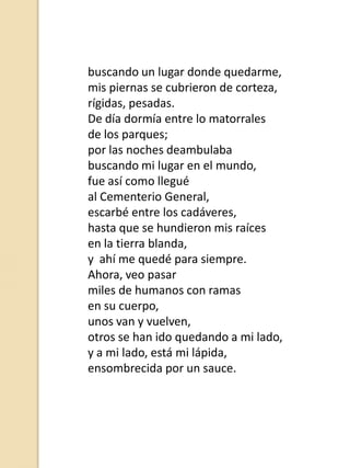 buscando un lugar donde quedarme,
mis piernas se cubrieron de corteza,
rígidas, pesadas.
De día dormía entre lo matorrales
de los parques;
por las noches deambulaba
buscando mi lugar en el mundo,
fue así como llegué
al Cementerio General,
escarbé entre los cadáveres,
hasta que se hundieron mis raíces
en la tierra blanda,
y ahí me quedé para siempre.
Ahora, veo pasar
miles de humanos con ramas
en su cuerpo,
unos van y vuelven,
otros se han ido quedando a mi lado,
y a mi lado, está mi lápida,
ensombrecida por un sauce.

 