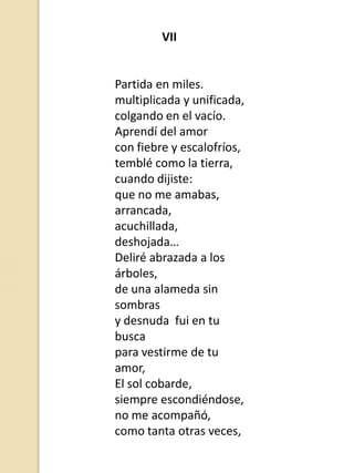VII

Partida en miles.
multiplicada y unificada,
colgando en el vacío.
Aprendí del amor
con fiebre y escalofríos,
temblé como la tierra,
cuando dijiste:
que no me amabas,
arrancada,
acuchillada,
deshojada…
Deliré abrazada a los
árboles,
de una alameda sin
sombras
y desnuda fui en tu
busca
para vestirme de tu
amor,
El sol cobarde,
siempre escondiéndose,
no me acompañó,
como tanta otras veces,

 