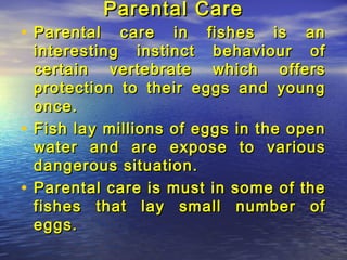 Parantal care in fishes | PPT