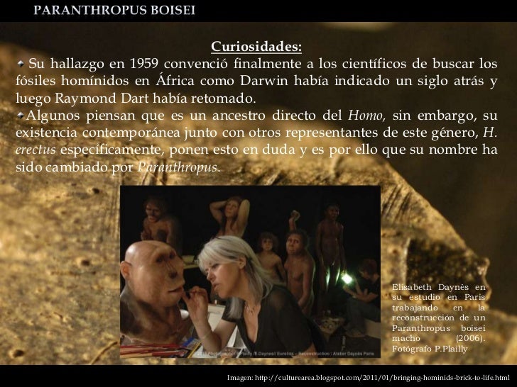 Paranthropus boisei
