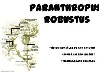 Paranthropus
robustus
-Víctor González de San Antonio
-Javier Calero Jiménez
1º Bachillerato sociales
 