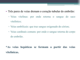 • Três pares de veias drenam o coração tubular do embrião:
▫ Veias vitelinas: por onde retorna o sangue do saco
vitelínico;
▫ Veias umbilicais: que traz sangue oxigenado do córion;
▫ Veias cardinais comuns: por onde o sangue retorna do corpo
do embrião.
*As veias hepáticas se formam a partir das veias
vitelínicas.
 
