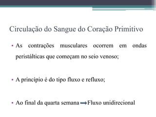 Circulação do Sangue do Coração Primitivo
• As contrações musculares ocorrem em ondas
peristálticas que começam no seio venoso;
• A princípio é do tipo fluxo e refluxo;
• Ao final da quarta semana Fluxo unidirecional
 