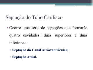 Septação do Tubo Cardíaco
• Ocorre uma série de septações que formarão
quatro cavidades: duas superiores e duas
inferiores:
▫ Septação do Canal Atrioventricular;
▫ Septação Atrial.
 