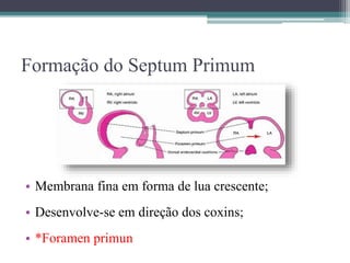 Formação do Septum Primum
• Membrana fina em forma de lua crescente;
• Desenvolve-se em direção dos coxins;
• *Foramen primun
 