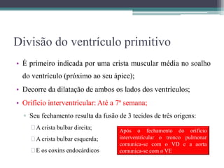 Divisão do ventrículo primitivo
• É primeiro indicada por uma crista muscular média no soalho
do ventrículo (próximo ao seu ápice);
• Decorre da dilatação de ambos os lados dos ventrículos;
• Orifício interventricular: Até a 7ª semana;
▫ Seu fechamento resulta da fusão de 3 tecidos de três origens:
A crista bulbar direita;
A crista bulbar esquerda;
E os coxins endocárdicos
Após o fechamento do orifício
interventricular o tronco pulmonar
comunica-se com o VD e a aorta
comunica-se com o VE
 