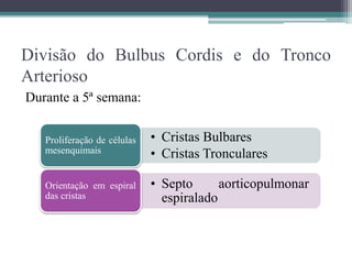 Divisão do Bulbus Cordis e do Tronco
Arterioso
Durante a 5ª semana:
• Cristas Bulbares
• Cristas Tronculares
Proliferação de células
mesenquimais
• Septo aorticopulmonar
espiralado
Orientação em espiral
das cristas
 