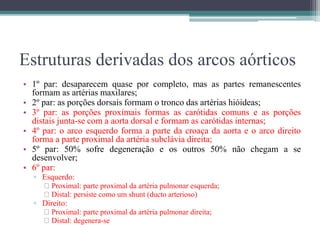 Estruturas derivadas dos arcos aórticos
• 1º par: desaparecem quase por completo, mas as partes remanescentes
formam as artérias maxilares;
• 2º par: as porções dorsais formam o tronco das artérias hióideas;
• 3º par: as porções proximais formas as carótidas comuns e as porções
distais junta-se com a aorta dorsal e formam as carótidas internas;
• 4º par: o arco esquerdo forma a parte da croaça da aorta e o arco direito
forma a parte proximal da artéria subclávia direita;
• 5º par: 50% sofre degeneração e os outros 50% não chegam a se
desenvolver;
• 6º par:
▫ Esquerdo:
Proximal: parte proximal da artéria pulmonar esquerda;
Distal: persiste como um shunt (ducto arterioso)
▫ Direito:
Proximal: parte proximal da artéria pulmonar direita;
Distal: degenera-se
 