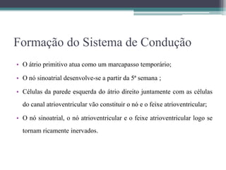 Formação do Sistema de Condução
• O átrio primitivo atua como um marcapasso temporário;
• O nó sinoatrial desenvolve-se a partir da 5ª semana ;
• Células da parede esquerda do átrio direito juntamente com as células
do canal atrioventricular vão constituir o nó e o feixe atrioventricular;
• O nó sinoatrial, o nó atrioventricular e o feixe atrioventricular logo se
tornam ricamente inervados.
 