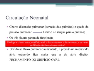 Circulação Neonatal
• Choro: distensão pulmonar (aereção dos pulmões) e queda da
pressão pulmonar Desvio de sangue para o pulmão;
• Os três shunts param de funcionar;
• Devido ao fluxo pulmonar aumentado, a pressão no interior do
átrio esquerdo fica maior que a do átrio direito:
FECHAMENTO DO ORIFÍCIO OVAL.
Tão logo a criança nasce, o orifício oval, o ducto arterioso, o ducto venoso, e os vasos
umbilicais não são mais necessários!
 