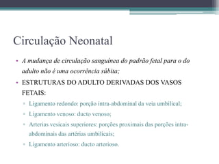 Circulação Neonatal
• A mudança de circulação sanguínea do padrão fetal para o do
adulto não é uma ocorrência súbita;
• ESTRUTURAS DO ADULTO DERIVADAS DOS VASOS
FETAIS:
▫ Ligamento redondo: porção intra-abdominal da veia umbilical;
▫ Ligamento venoso: ducto venoso;
▫ Arterias vesicais superiores: porções proximais das porções intra-
abdominais das artérias umbilicais;
▫ Ligamento arterioso: ducto arterioso.
 