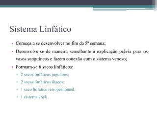 Sistema Linfático
• Começa a se desenvolver no fim da 5ª semana;
• Desenvolve-se de maneira semelhante à explicação prévia para os
vasos sanguíneos e fazem conexão com o sistema venoso;
• Formam-se 6 sacos linfáticos:
▫ 2 sacos linfáticos jugulares;
▫ 2 sacos linfáticos ilíacos;
▫ 1 saco linfático retroperitoneal;
▫ 1 cisterna chyli.
 