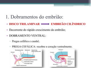 1. Dobramentos do embrião:
• DISCO TRILAMINAR EMBRIÃO CILÍNDRICO
• Decorrente do rápido crescimento do embrião;
• DOBRAMENTO VENTRAL:
▫ Pregas cefálica e caudal;
▫ PREGA CEFÁLICA: recobre o coração ventralmente.
 