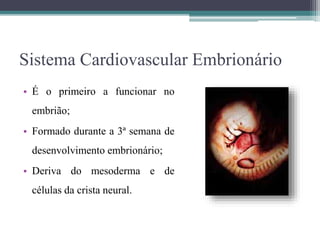 Sistema Cardiovascular Embrionário
• É o primeiro a funcionar no
embrião;
• Formado durante a 3ª semana de
desenvolvimento embrionário;
• Deriva do mesoderma e de
células da crista neural.
 