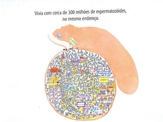 Paraondefoiozzinho ppt-091017071920-phpapp01