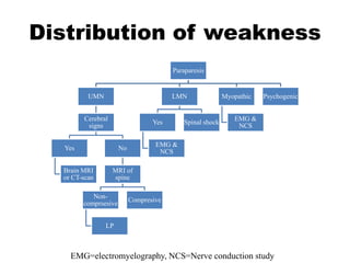 Distribution of weakness
Paraparesis
UMN
Cerebral
signs
Yes
Brain MRI
or CT-scan
No
MRI of
spine
Non-
comprsesive
LP
Compresive
LMN
Yes
EMG &
NCS
Spinal shock
Myopathic
EMG &
NCS
Psychogenic
EMG=electromyelography, NCS=Nerve conduction study
 
