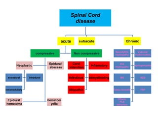 Spinal Cord
disease
acute
compressive
Neoplastic
extradural intradural
intramedullary
Epidural
abscess
Epidural
hematoma
hematom
yelia
Non compressive
Cord
infarction
Inflamatory
Infectious demyelinating
Idiopathic
subacute Chronic
Spondylitic
myelopathy
Vascular
malformation
RVI
myelopathy
syringomyelia
MS SCD
Tabes dorsalis FSP
Others;
PLS
lathyrism
 