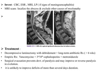  Invest- CBC, ESR , MRI, LP ( if signs of meningoencephalitis)
• MRI scans localize the abscess & exclude other causes of myelopathy

 Treatment :
• Decompressive laminectomy with debridement + long-term antibiotic Rx ( > 6 wks)
• Empiric Rx: Vancomycine + 3rd/4th cephalosporins + metronidazole
• Surgical evacuation prevents devt. of paralysis and may improve or reverse paralysis
in evolution.
• it is unlikely to improve deficits of more than several days duration.
 