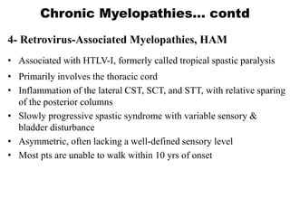 4- Retrovirus-Associated Myelopathies, HAM
• Associated with HTLV-I, formerly called tropical spastic paralysis
• Primarily involves the thoracic cord
• Inflammation of the lateral CST, SCT, and STT, with relative sparing
of the posterior columns
• Slowly progressive spastic syndrome with variable sensory &
bladder disturbance
• Asymmetric, often lacking a well-defined sensory level
• Most pts are unable to walk within 10 yrs of onset
Chronic Myelopathies… contd
 
