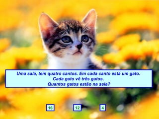 Uma sala, tem quatro cantos. Em cada canto está um gato.  Cada gato vê três gatos.  Quantos gatos estão na sala? 4 12 16 
