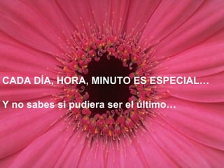 CADA DÍA, HORA, MINUTO ES ESPECIAL… Y no sabes si pudiera ser el último… 