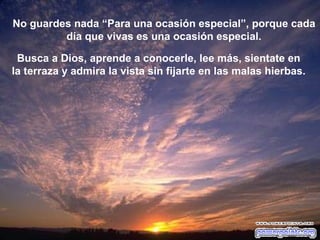 No guardes nada “Para una ocasión especial”, porque cada
         día que vivas es una ocasión especial.

 Busca a Dios, aprende a conocerle, lee más, sientate en
la terraza y admira la vista sin fijarte en las malas hierbas.
 