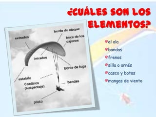 ¿Cuáles son los elementos?el alabandasfrenossilla o arnéscasco y botasmangas de viento