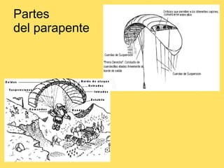 Partes  del parapente 