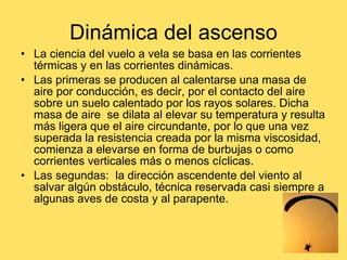 Dinámica del ascenso La ciencia del vuelo a vela se basa en las corrientes térmicas y en las corrientes dinámicas. Las primeras se producen al calentarse una masa de aire por conducción, es decir, por el contacto del aire sobre un suelo calentado por los rayos solares. Dicha masa de aire  se dilata al elevar su temperatura y resulta más ligera que el aire circundante, por lo que una vez superada la resistencia creada por la misma viscosidad, comienza a elevarse en forma de burbujas o como corrientes verticales más o menos cíclicas. Las segundas:  la dirección ascendente del viento al salvar algún obstáculo, técnica reservada casi siempre a algunas aves de costa y al parapente.  