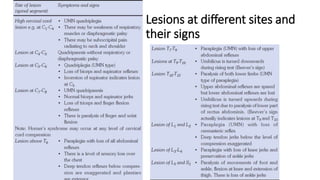 Lesions at different sites and
their signs
 