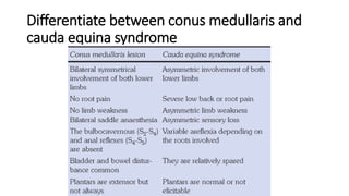 Differentiate between conus medullaris and
cauda equina syndrome
 