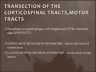 TRANSECTION OF THE CORTICOSPINAL TRACTS,MOTOR TRACTSParaplegia or quadriplegia with heightened DTRs ,babinskisign,SPASTICITY.UPPER MOTOR NEURON SYNDROME –below the level of transectionLOWER MOTOR NEURON SYNDROME – at the level of the lesion.
