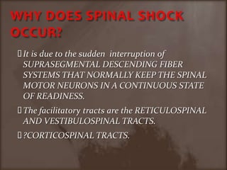 WHY DOES SPINAL SHOCK OCCUR?It is due to the sudden  interruption of SUPRASEGMENTAL DESCENDING FIBER SYSTEMS THAT NORMALLY KEEP THE SPINAL MOTOR NEURONS IN A CONTINUOUS STATE OF READINESS.The facilitatory tracts are the RETICULOSPINAL AND VESTIBULOSPINAL TRACTS.?CORTICOSPINAL TRACTS.