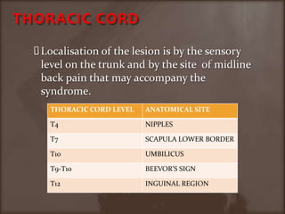 THORACIC CORDLocalisation of the lesion is by the sensory level on the trunk and by the site  of midline back pain that may accompany the syndrome.