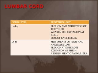 LUMBAR CORD