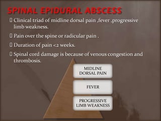 SPINAL EPIDURAL ABSCESSClinical triad of midline dorsal pain ,fever ,progressive limb weakness.Pain over the spine or radicular pain .Duration of pain <2 weeks.Spinal cord damage is because of venous congestion and thrombosis.