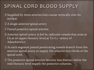 SPINAL CORD BLOOD SUPPLYSupplied by three arteries that course vertically over its surface.A single anterior spinal arteryPaired posterior spinal arteriesAnterior spinal artery is fed by radicular vessels that arise at C6,at an upper thoracic level,at T11-L2 –artery of Adamkiewicz.At each segment paired penetrating vessels branch from the anterior spinal artery to supply the anterior two thirds of the spinal cord.The posterior spinal arteries become less distinct below the mid thoracic level supply the posterior columns.